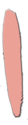 Tammy Taylor Creamy French Pinks | Lush Clouds No-Cure Nail Lacquer - Image 2