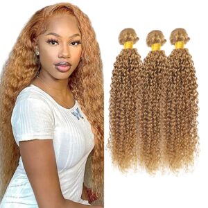 22 24 26 Inch DixerLamx Hair Color #27 Bundles Honey Blonde Curly Human Hair Bundles Brazilian Virgin Hair 3 Bundles Honey Blonde Bundles Human Hair Color #27 Kinky Curly Bundles