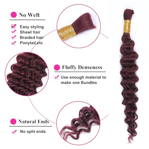 22 Inch Deep Wave Bulk Human Hair for Braiding 50g 1 Bundle Unprocessed Brazilian Virgin Hair Extensions Kinky Curly 99J - Image 3