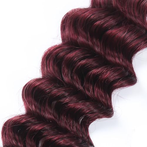 22 Inch Deep Wave Bulk Human Hair for Braiding 50g 1 Bundle Unprocessed Brazilian Virgin Hair Extensions Kinky Curly 99J - Image 4