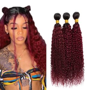 24 26 28 Inch Burgundy Kinky Curly Bundles Ombre Human Hair Bundles Red Curly Bundles 8a Brazilian Virgin Remy Hair Extension For Women Double Weft 1b99j Kinky Curly Bundles 100g/Pc