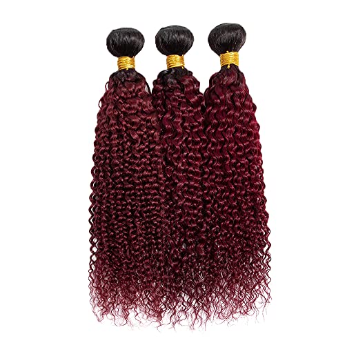 24 26 28 Inch Burgundy Kinky Curly Bundles Ombre Human Hair Bundles Red Curly Bundles 8a Brazilian Virgin Remy Hair Extension For Women Double Weft 1b99j Kinky Curly Bundles 100g/Pc - Image 7