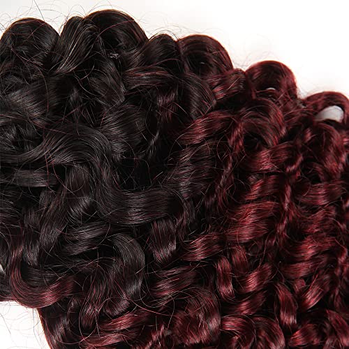 24 26 28 Inch Burgundy Kinky Curly Bundles Ombre Human Hair Bundles Red Curly Bundles 8a Brazilian Virgin Remy Hair Extension For Women Double Weft 1b99j Kinky Curly Bundles 100g/Pc - Image 5