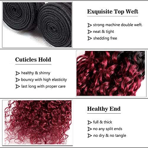24 26 28 Inch Burgundy Kinky Curly Bundles Ombre Human Hair Bundles Red Curly Bundles 8a Brazilian Virgin Remy Hair Extension For Women Double Weft 1b99j Kinky Curly Bundles 100g/Pc - Image 3