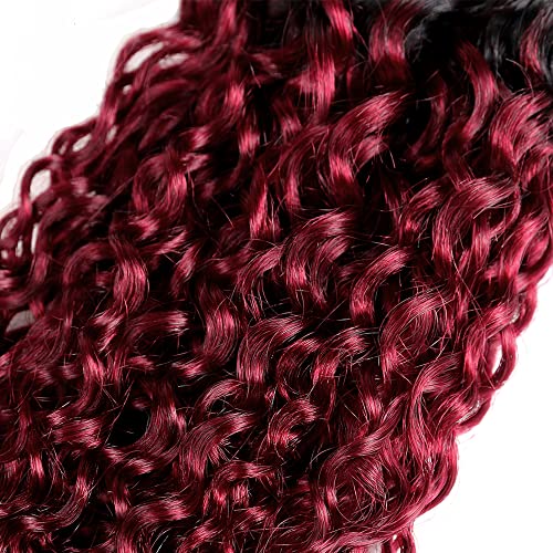 24 26 28 Inch Burgundy Kinky Curly Bundles Ombre Human Hair Bundles Red Curly Bundles 8a Brazilian Virgin Remy Hair Extension For Women Double Weft 1b99j Kinky Curly Bundles 100g/Pc - Image 4