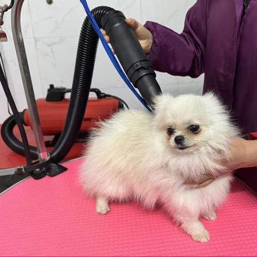 3000W Dual Motor Pet Dryer with 2 Nozzles for Fast Grooming - Image 7