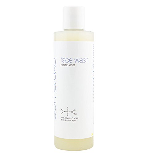 Hyaluronic & Amino Acid Face Wash with Vitamin C, 8oz