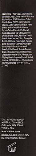 Liquid Mineral Foundation, Pebble, 17 Shades, Vegan, Cruelty Free, Gluten-Free - Image 3