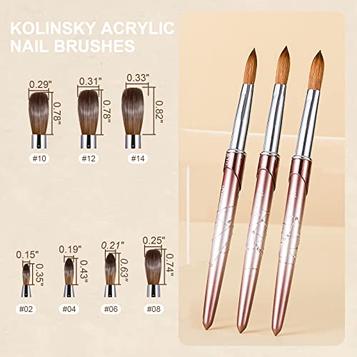KEMEISI Size 8 Professional Kolinsky Nail Art Brush with High-Quality Bristles - Image 5