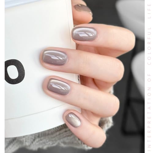 GAOY Forest Sunset Cat Eye Gel Nail Polish Set with Magnet for Holographic Cat Eye, Salon Gel Manicure and Nail Art DIY at Home - Image 4