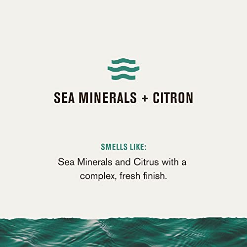 Every Man Jack Nourishing Sea Minerals + Citron Mens Body Wash for All Skin Types - Naturally Derived Ingredients - Cleanse and Hydrate Skin with Coconut and Glycerin - 24oz 2 Bottles - Image 4