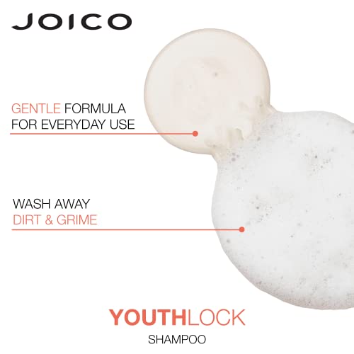 Joico YouthLock Shampoo Formulated with Collagen | Youthful Body & Bounce | Reduce Breakage & Frizz | Free of SLS/SLES Sulfates - Image 5