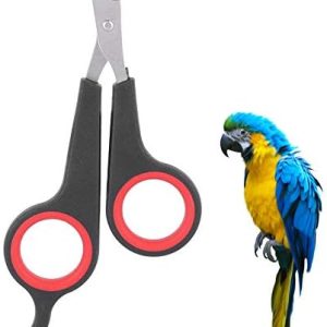 Bird Nail Clipper, Pet Parrot Nail Scissors Cat Stainless Steel Trimmer Kitten Professional Sharp Cutter Cutting Grooming Trimming Tool Small Breed Animals Rabbits Hamsters Home Dog Squirrel Ferrets