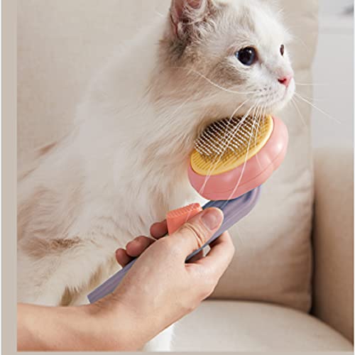 iZiv Cat Brush with Release Button, Pet Grooming Brushes for indoor Cats Shedding, pet comb for Long or Short Haired Cats, pumpkin cat hairbrush for Kitten Cats Dogs Rabbits Massage Removes Loose Fur - Image 2