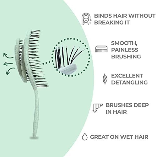 Ninabella Organic Detangling Hair Brush for Women, Men & Children - Does not Pull on Hair - Straightening Brushes for Straight, Curly & Wet Hair - Unique Spiral Hairbrush Green - Image 2