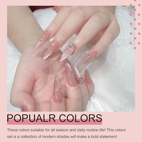 Arte Clavo 10ml Holographic Glitter Jelly Pink Cat Eye Gel Polish Set of Pink Colors with Free Magnet UV LED Soak Off Nail Polish DIY Manicure Nail Salon Varnish 6009… - Image 3