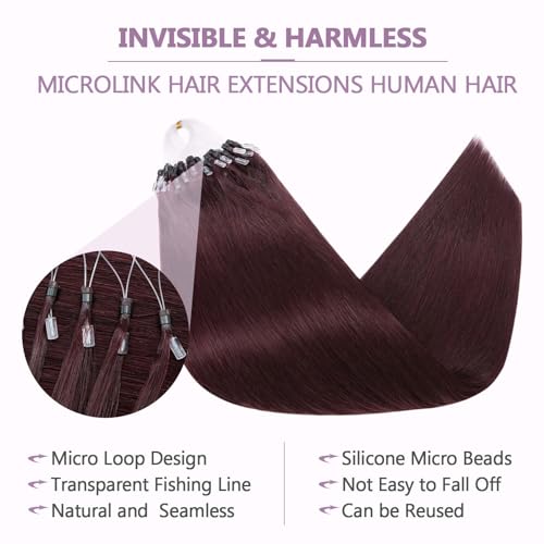 Benehair Micro Loop Human Hair Extension 1g/strand 50g Micro Beads Remy Straight Hair Extension for Women Nano Rings Beads Stick Tipped Hair Fish Line Ring Hairpiece 22inch #99J Wine Red - Image 4
