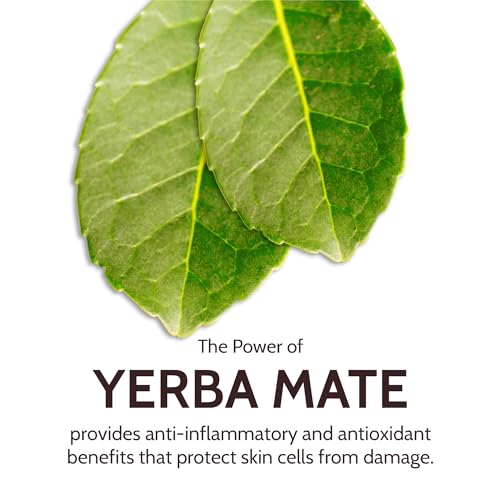 Yerba Mate Radiance Eye Cream Anti Aging - Eye Cream for Dark Circles and Puffiness - Brightening Under Eye Cream - Peptide Eye Repair Cream - Image 6