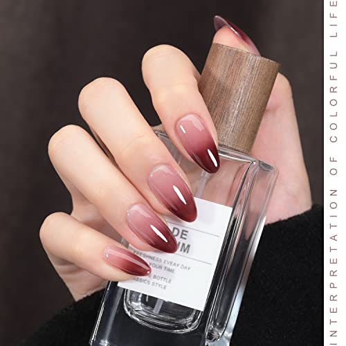 GAOY Rose Garden Jelly Gel Nail Polish of 6 Transparent Nude Red Pink Brown Colors Sheer Gel Polish Kit for Salon Gel Manicure and Nail Art DIY at Home - Image 4
