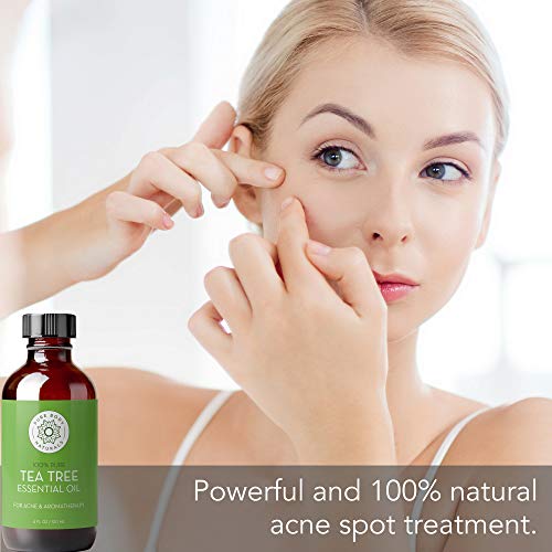 Tea Tree Essential Oil, 4 Fl Oz with Dropper - Undiluted Therapeutic Grade for Your Face, Skin, Hair and Diffuser - 100% Pure Melaleuca Oil for Acne, Toenails - by Pure Body Naturals - Image 2