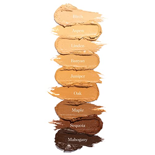 Ogee Sculpted Complexion Foundation Stick (Birch 0.5N - Fair, Neutral Undertones) Full Coverage Foundation Makeup - Instantly Balance & Even Complexion - 70% Organic Ingredients - Image 5