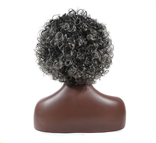 Women's Grey Spiral Curl Synthetic Lace Wig One Size Fits All - Image 2