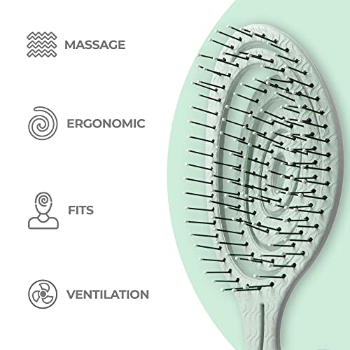 Ninabella Organic Detangling Hair Brush for Women, Men & Children - Does not Pull on Hair - Straightening Brushes for Straight, Curly & Wet Hair - Unique Spiral Hairbrush Green - Image 3