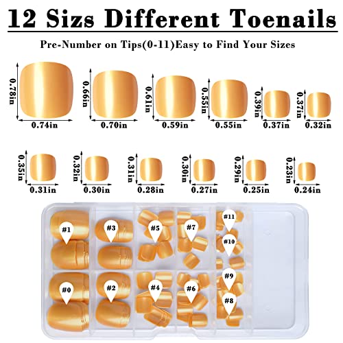 Press on Toenails 120pcs Short Square Fake Toenails Full Cover Gold Glossy Acrylic False Toe Nails Tips with 5 Sheets Adhesive Glue Tabs for Women and Girls Foot Decor - Image 5