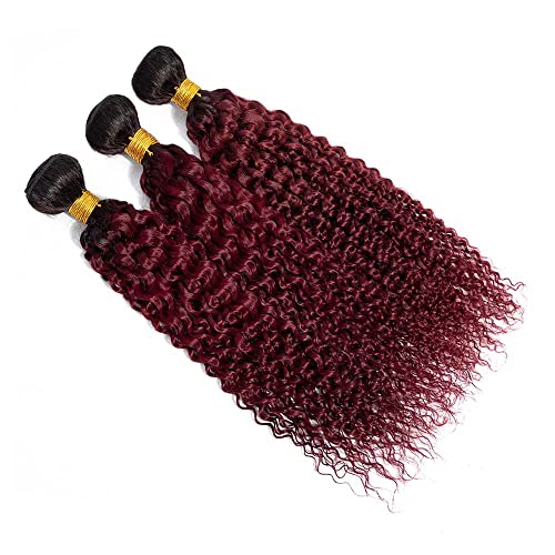 Burgundy Kinky Curly Bundles Human Hair 10 12 14 Inch Unprocessed Brazilian Virgin Hair Two Tone Black Bundles 8A Grade Weave Extensions Hair 1B99J Ombre Burgundy Curly Bundles - Image 5