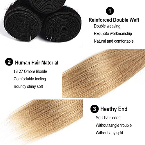1b27 Human Hair Bundles Ombre Honey Blonde Straight Bundles Brazilian Remy Human Hair 3 Bundles 14 16 18 Inch Double Weft Hair Weave Honey Blonde Hair Bundles Ombre Bundles - Image 3