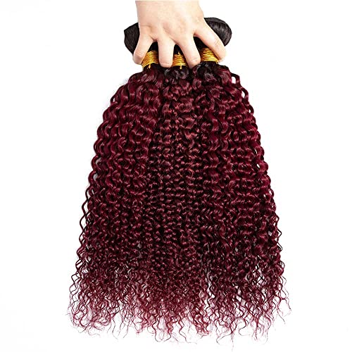 Burgundy Kinky Curly Bundles Human Hair 10 12 14 Inch Unprocessed Brazilian Virgin Hair Two Tone Black Bundles 8A Grade Weave Extensions Hair 1B99J Ombre Burgundy Curly Bundles - Image 6