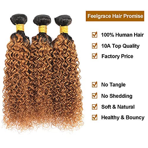 Ombre Two Tone Brazilian Kinky Curly Hair Bundles 1B/30 Virgin Curly Hair Extension 3 Bundles Kinkys Curly Human Hair Black to 30# 300 Gram (10 12 14) - Image 3
