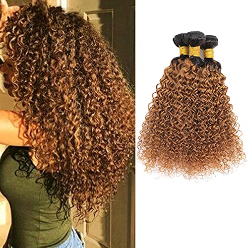 Ombre Two Tone Brazilian Kinky Curly Hair Bundles 1B/30 Virgin Curly Hair Extension 3 Bundles Kinkys Curly Human Hair Black to 30# 300 Gram (10 12 14)