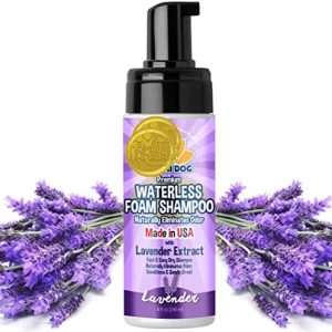 Bodhi Dog Waterless Foaming Shampoo | Natural Pet Shampoo for Dogs & Cats | Waterless Dry Shampoo for Bathless Cleaning | Pet Odor Eliminator | No Rinse Required | Made in USA (Lavender, 8oz)