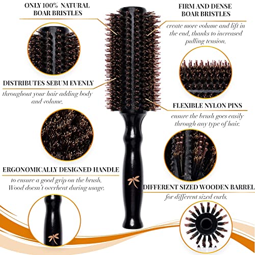 Belula Add Volume to Your Hair Set. Detangling Boar Bristle Hair Brush for Long, Curly or Any Type of Hair and Medium 2.4" Boar Bristle Round Brush for Blow Drying Set. Restores Hair's Shine and Ads Volume - Image 7