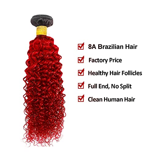 Red Kinky Curly Ombre Human Hair Bundles 8 Inch Single Bundle Two Tone Black to Red - Image 3