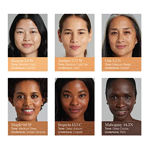 Ogee Sculpted Complexion Foundation Stick (Birch 0.5N - Fair, Neutral Undertones) Full Coverage Foundation Makeup - Instantly Balance & Even Complexion - 70% Organic Ingredients - Image 7