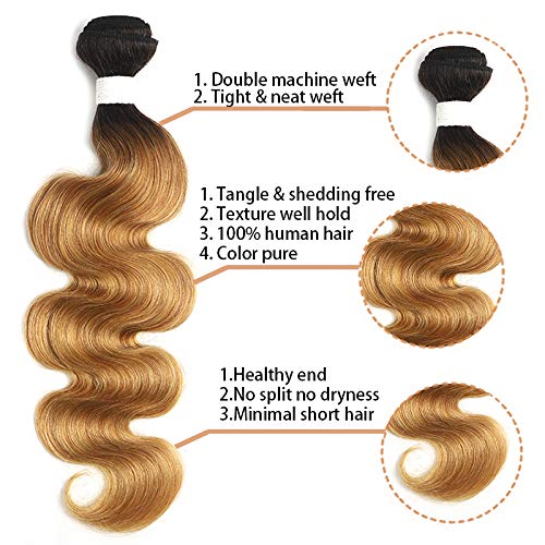 X-TRESS Ombre Bundles Human Hair 1 Bundle Ombre Honey Blonde Bundles Body Wave Brazilian 1b/27 Hair Weave 100% Human Hair Extensions Bundles Ombre Color 27 Hair Bundles(20 Inch, T1B/27) - Image 2