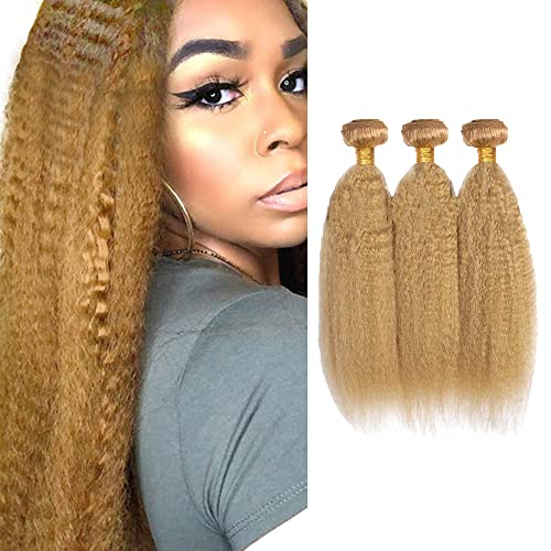 Honey Blonde Kinky Straight 8A Grade Human Hair Bundles 3 Piece Set 10-14 Inch