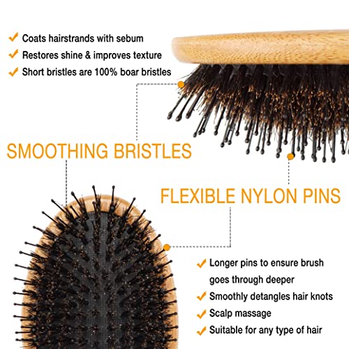 Belula Add Volume to Your Hair Set. Detangling Boar Bristle Hair Brush for Long, Curly or Any Type of Hair and Medium 2.4" Boar Bristle Round Brush for Blow Drying Set. Restores Hair's Shine and Ads Volume - Image 4