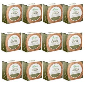Solid Shampoo Bar And Conditioner Effect Hair Soap – 12 Pack Natural Shampoo Bars For Hair With Plant Based Essential Oils And Eco Friendly Zero Waste Biodegradable Packaging (Ginger Pack Of 12)