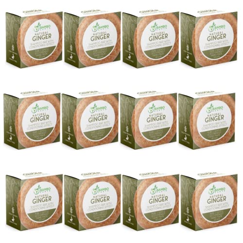 Solid Shampoo Bar And Conditioner Effect Hair Soap – 12 Pack Natural Shampoo Bars For Hair With Plant Based Essential Oils And Eco Friendly Zero Waste Biodegradable Packaging (Ginger Pack Of 12)