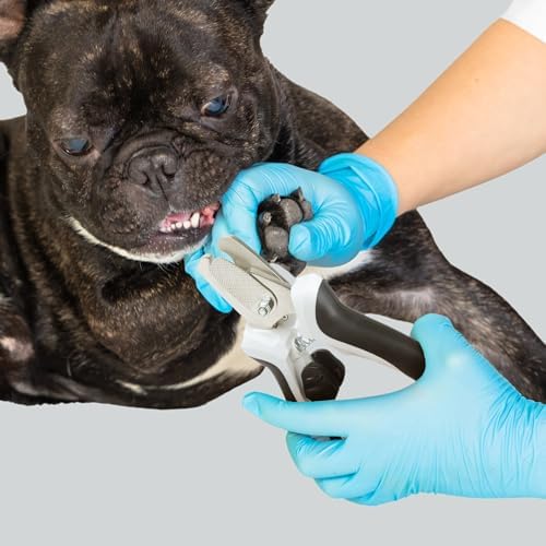 TwoEar Dog Nail Clippers with Light, Dog Nail Trimmers with Quick Sensor & Safety Guard, Razor Sharp Blade, LED Pet Nail Clipper/Dog Toenail Clippers for Medium Large Dogs, Black - Image 6