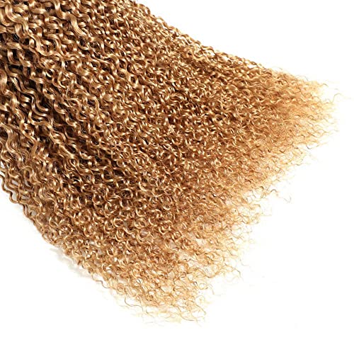 Honey Blonde Human Hair Bundles 1B27 Ombre Bundles Blonde Kinky Curly Human Hair 16 18 20 Inch Brazilian Real Unprocessed Virgin Human Hair Black And Honey Blonde Kinky Curly Human Hair Bundles - Image 4