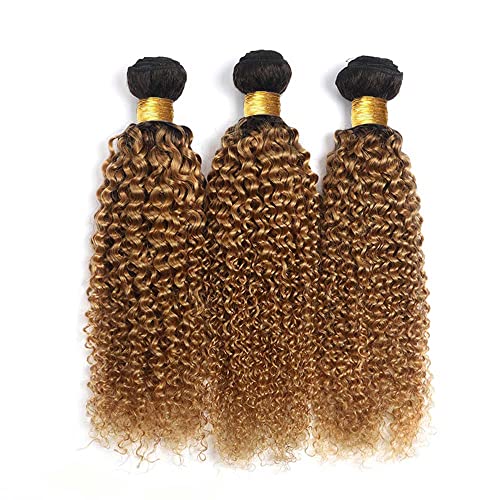 Honey Blonde Human Hair Bundles 1B27 Ombre Bundles Blonde Kinky Curly Human Hair 16 18 20 Inch Brazilian Real Unprocessed Virgin Human Hair Black And Honey Blonde Kinky Curly Human Hair Bundles - Image 2