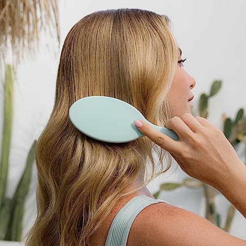 Vegan Detangling Hair Brush for All Hair Types, Travel-Friendly with Soft Vegan Bristles - Image 4