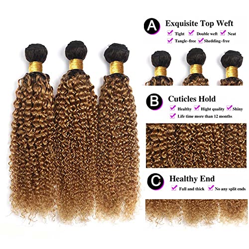Honey Blonde Human Hair Bundles 1B27 Ombre Bundles Blonde Kinky Curly Human Hair 16 18 20 Inch Brazilian Real Unprocessed Virgin Human Hair Black And Honey Blonde Kinky Curly Human Hair Bundles - Image 3