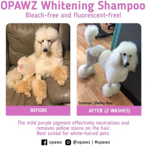 OPAWZ Whitening Purple Shampoo for Dog and Cat, 16.9 oz - Safely Remove Yellow Stains, with No Bleach, Peroxide and Sulfate, Professional Groomers Recommended Product - Image 5