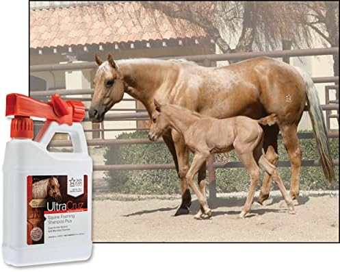 UltraCruz Equine 32 oz Foaming Shampoo Plus with Travel Applicator, New Condition - Image 3