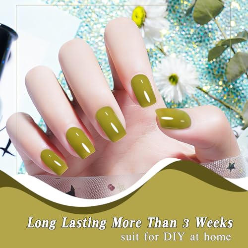 Jelly Gel Nail Polish,Translucent Gel Nail Polish,Crystal Jelly Gel Nail Polish,Sheer Gel Nail Polish,Soak Off UV LED Nail Art - Image 2